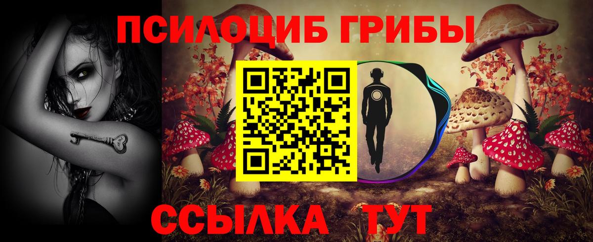 Галлюциногенные грибы мицелий Урус-Мартан