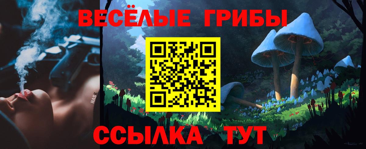 Урус-Мартан  Галлюциногенные грибы мухоморы  Вход с VPN  Псилоцибиновые грибы Cubensis 